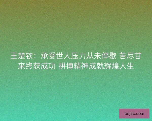王楚钦：承受世人压力从未停歇 苦尽甘来终获成功 拼搏精神成就辉煌人生
